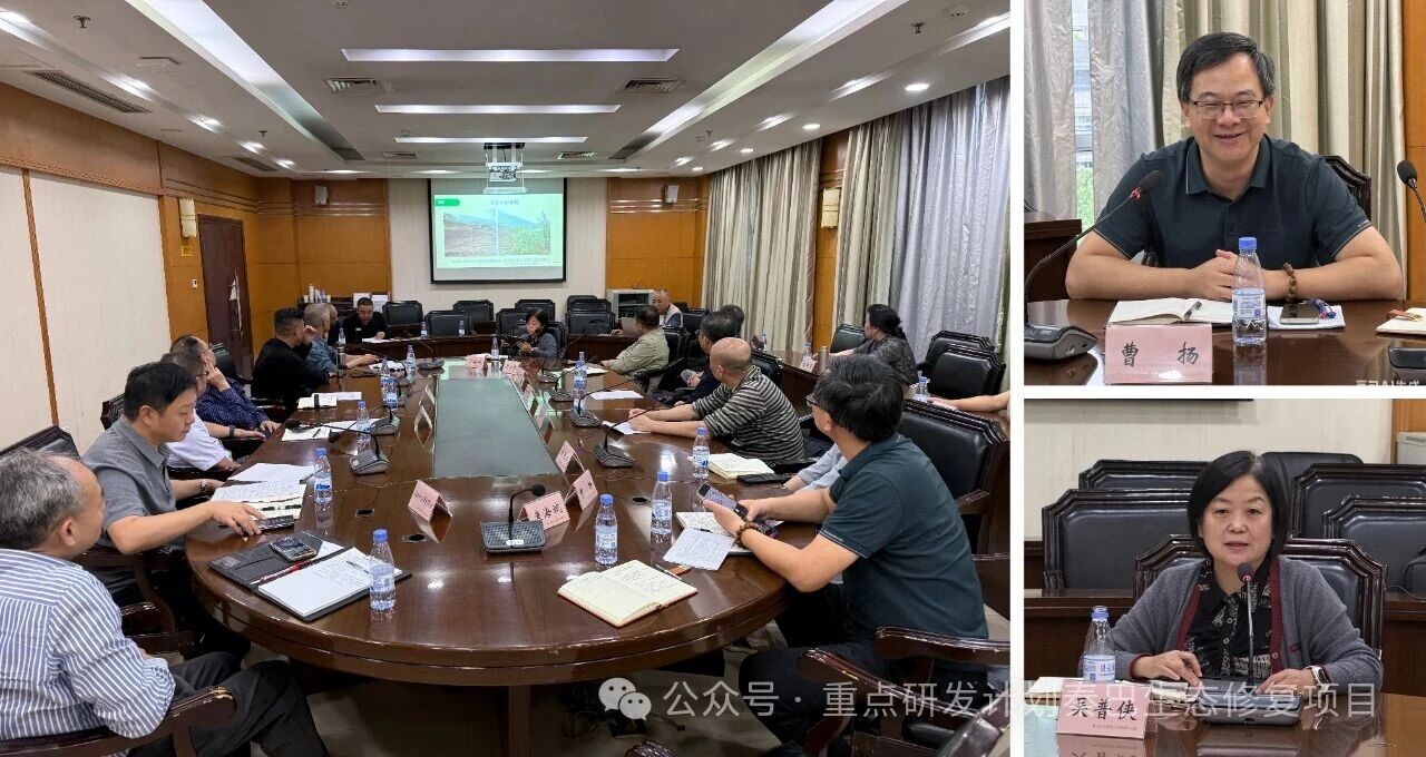 座谈交流会现场