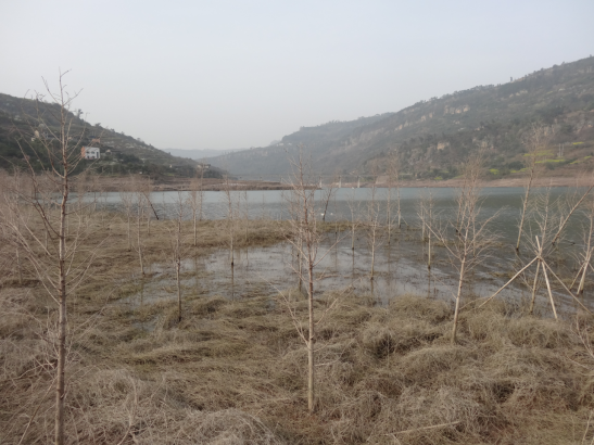 三峡库区万州瀼渡镇时间跨度试验